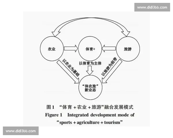 体育产业市场发展趋势与创新模式深度解析